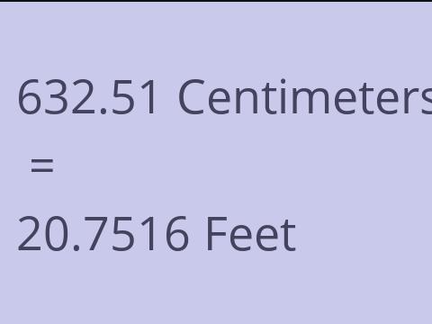 632.51 CM TO FEET