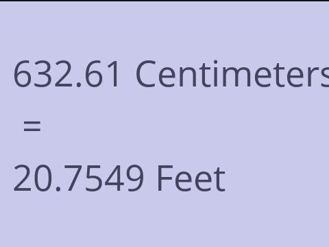 632.61 CM TO FEET