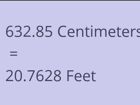 632.85 CM TO FEET