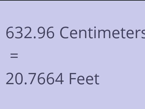 632.96 CM TO FEET