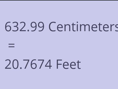 632.99 CM TO FEET