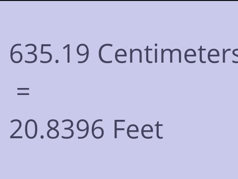 635.19 CM TO FEET