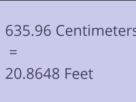 635.96 CM TO FEET