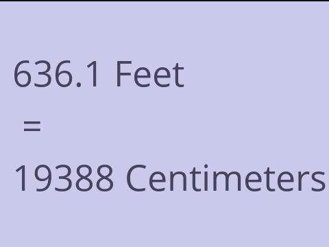 636.1 FEET TO CM