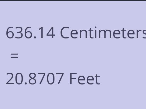 636.14 CM TO FEET