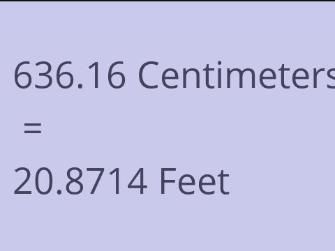 636.16 CM TO FEET