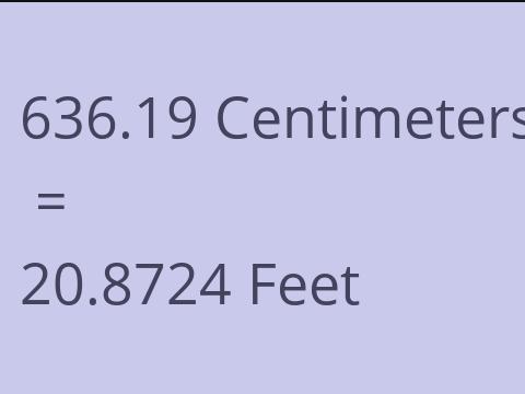 636.19 CM TO FEET