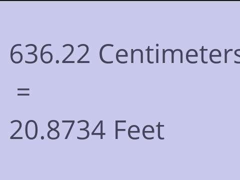 636.22 CM TO FEET