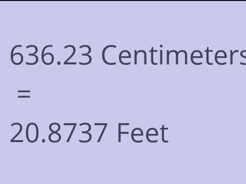 636.23 CM TO FEET