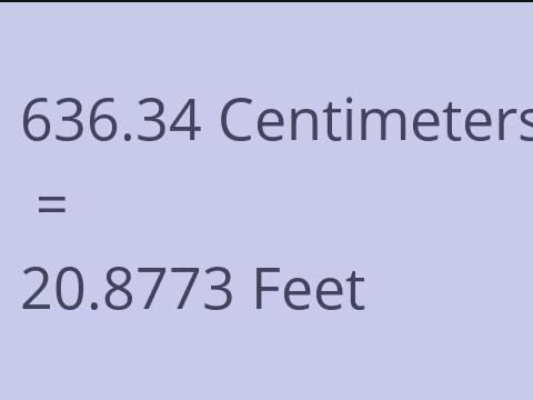 636.34 CM TO FEET