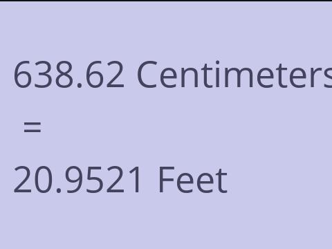 638.62 CM TO FEET