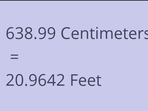 638.99 CM TO FEET