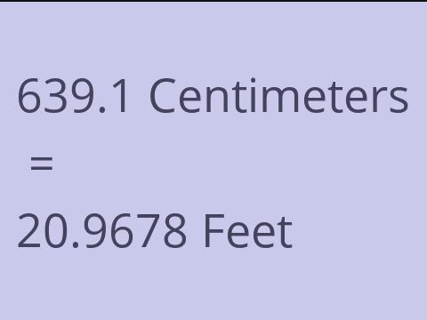 639.1 CM TO FEET