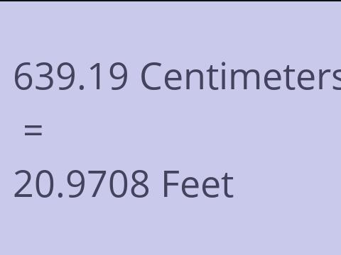 639.19 CM TO FEET