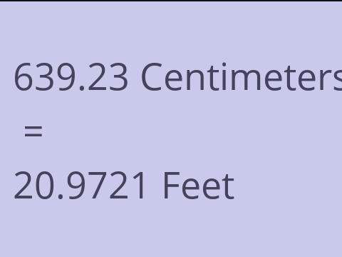 639.23 CM TO FEET