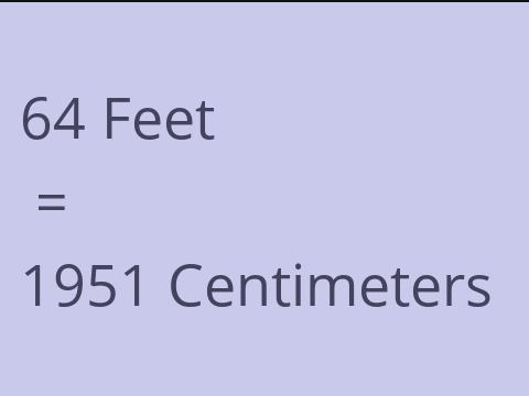 64 FEET TO CM