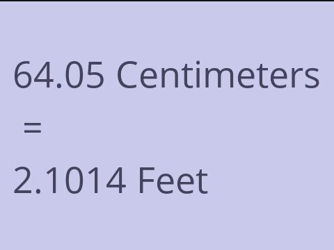 64.05 CM TO FEET