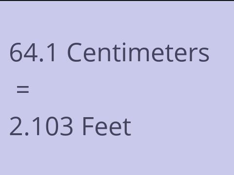 64.1 CM TO FEET