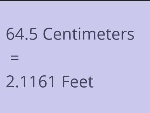 64.5 CM TO FEET