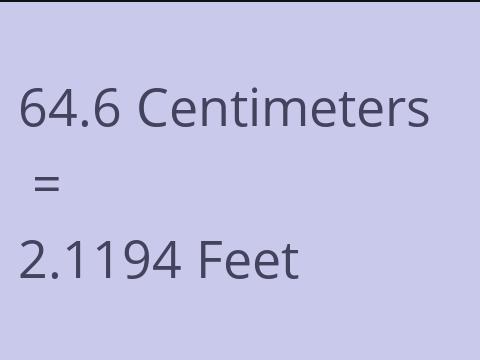 64.6 CM TO FEET