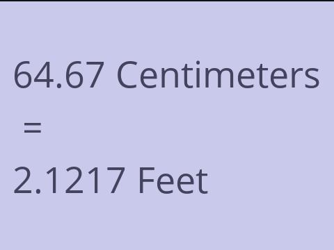 64.67 CM TO FEET