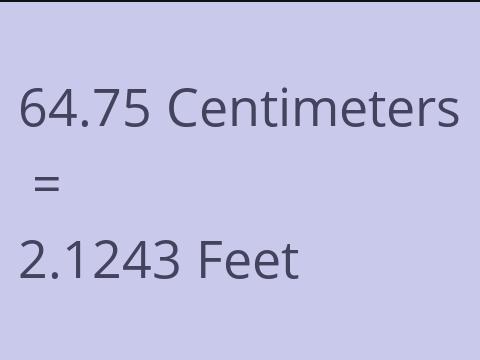 64.75 CM TO FEET