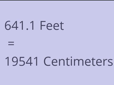 641.1 FEET TO CM