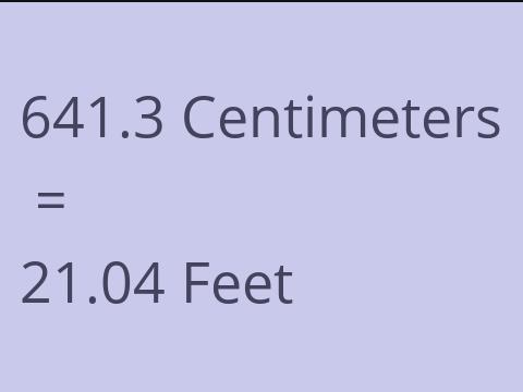 641.3 CM TO FEET