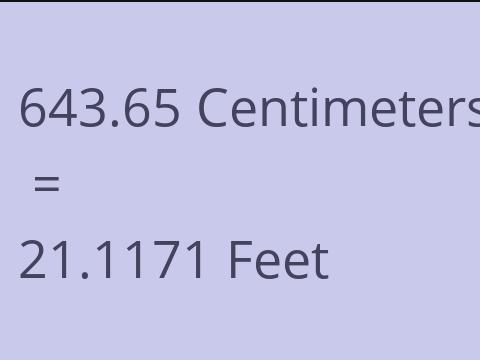 643.65 CM TO FEET