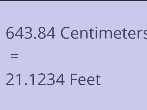 643.84 CM TO FEET