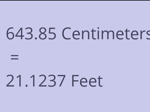 643.85 CM TO FEET