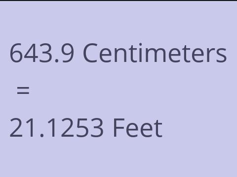 643.9 CM TO FEET