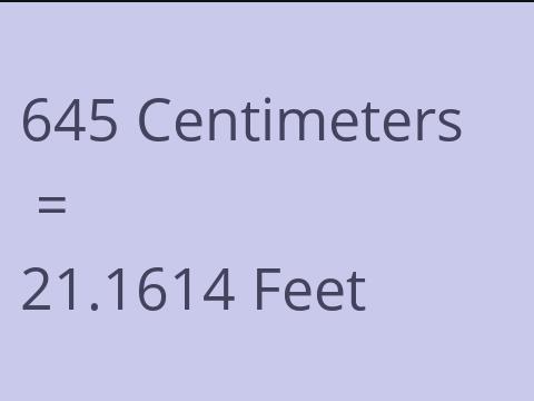 645 CM TO FEET