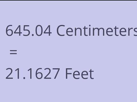 645.04 CM TO FEET