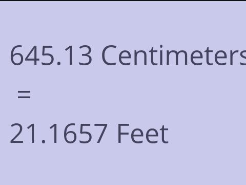 645.13 CM TO FEET