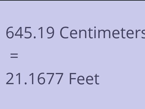 645.19 CM TO FEET