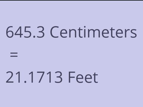 645.3 CM TO FEET