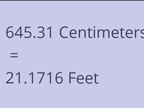 645.31 CM TO FEET