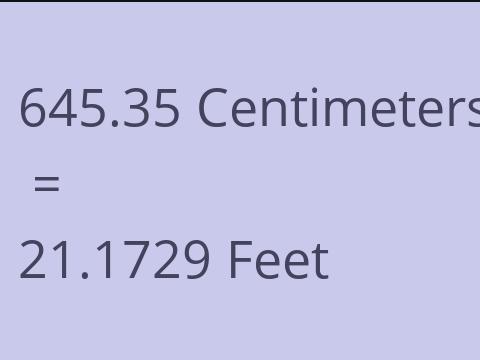 645.35 CM TO FEET