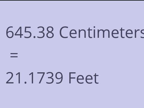 645.38 CM TO FEET