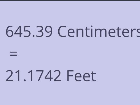 645.39 CM TO FEET