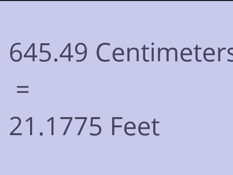 645.49 CM TO FEET