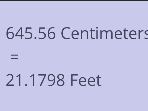 645.56 CM TO FEET