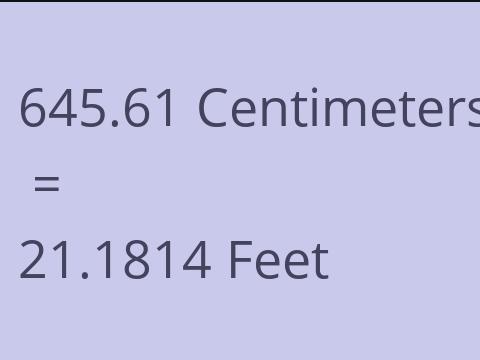 645.61 CM TO FEET