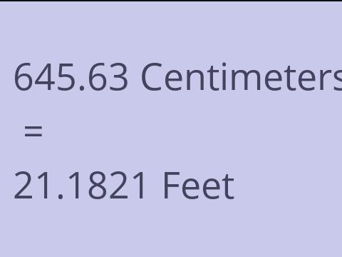 645.63 CM TO FEET