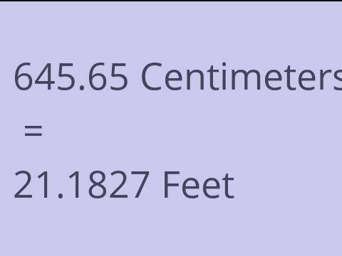 645.65 CM TO FEET