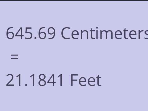 645.69 CM TO FEET