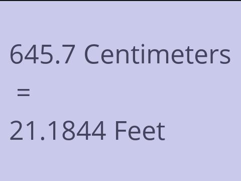 645.7 CM TO FEET