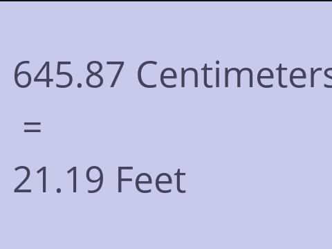 645.87 CM TO FEET