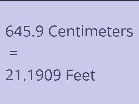 645.9 CM TO FEET